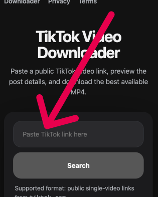 Pegar enlace de TikTok